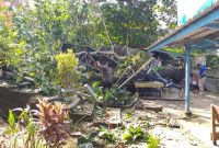 Warung Kuliner di Toboali Ambruk Tertimpa Pohon