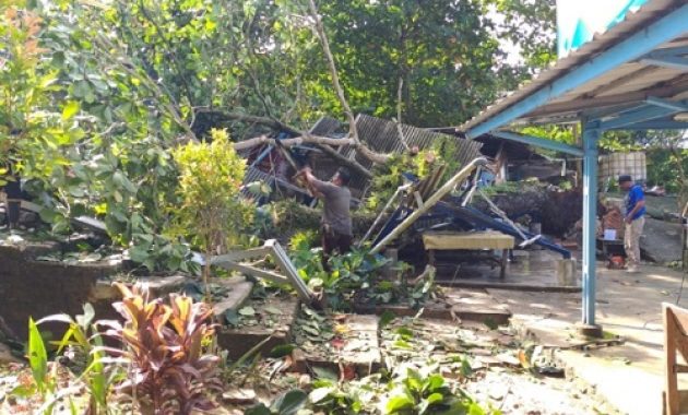 Warung Kuliner di Toboali Ambruk Tertimpa Pohon