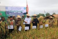 Beras Namang Cukup Terkenal dan Ditunggu Masyarakat Babel