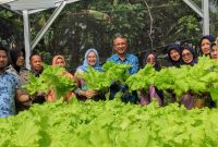 Istri Walikota Pangkalpinang Panen Sayuran Hidroponik