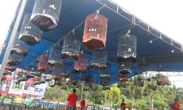 Kicau Mania Gelar Festival Lomba Seni Burung Berkicau, Peserta Tembus Angka 1.000