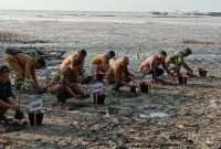 TNI Tanam Mangrove Serentak di Seluruh Indonesia