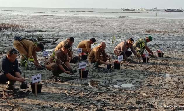 TNI Tanam Mangrove Serentak di Seluruh Indonesia