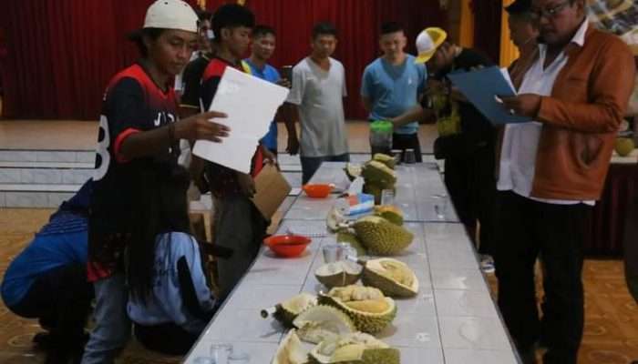 15 Varietas Durian Lokal Bangka Barat Ikuti Kontes di Parittiga