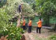 Angin Puting Beliung Terbangkan Atap Rumah Warga di Mentok Asin