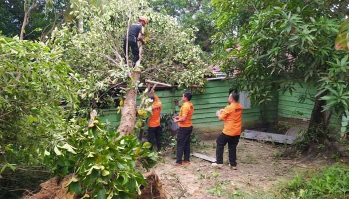 Angin Puting Beliung Terbangkan Atap Rumah Warga di Mentok Asin