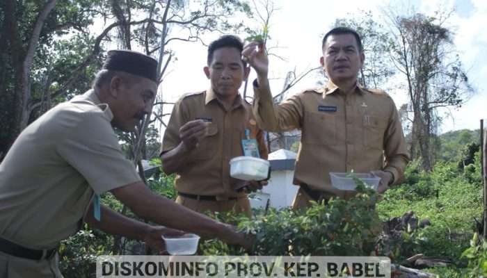 Lahan Semak Kantor Gubernur Babel Ditanami Sayur