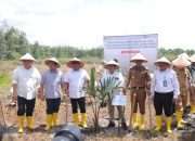 Moeldoko Sebut Lahan Eks Tambang Ditanami Sagu, Ini Peluang Besar