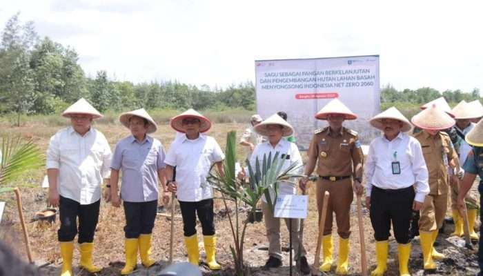 Moeldoko Sebut Lahan Eks Tambang Ditanami Sagu, Ini Peluang Besar