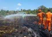 Dalam Sehari Ada 4 Titik Kebakaran Hutan di Bangka Selatan