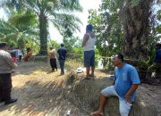 Penemuan Mayat di Kolong Desa Merawang Hebohkan Warga
