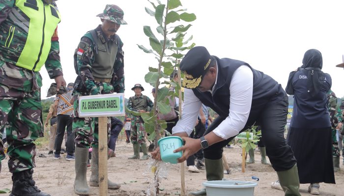 Safrizal Dorong Gerakan Menanam Pohon