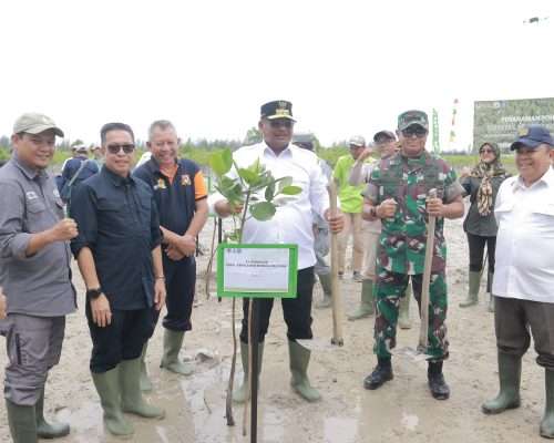 Peringati Hari Lahan Basah Sedunia, Safrizal Ajak Masyarakat Menanam Pohon