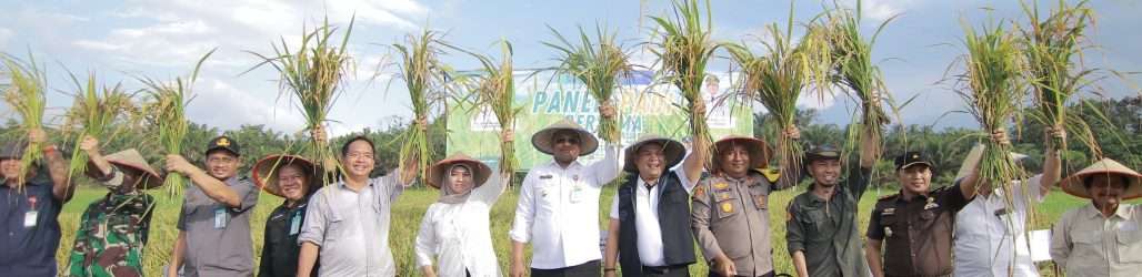 Safrizal Panen Raya dengan Masyarakat Desa Banyu Asin