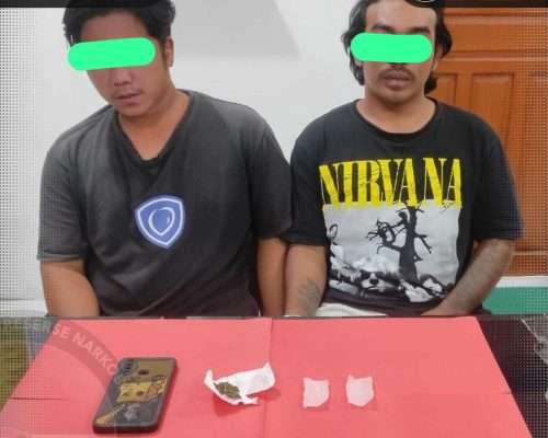 Polisi Buru Pengedar Ganja dalam Sehari, 4 Pelaku Diringkus