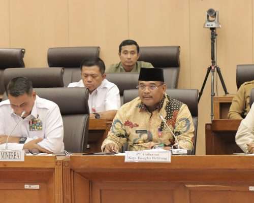 Safrizal Perjuangkan Ruang Tambang Legal di DPR RI