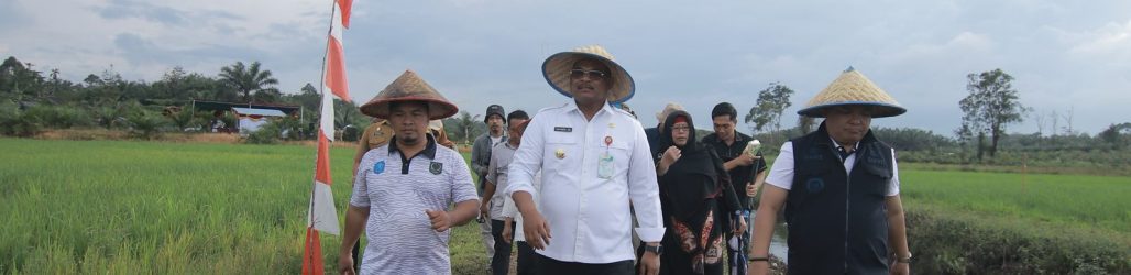 Subsidi Pupuk Naik! Safrizal Apresiasi Mentan Turut Majukan Pertanian Babel