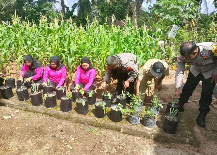 Polsek Pemali Luncurkan Program P2L, Ubah Pekarangan Jadi Kebun Produktif