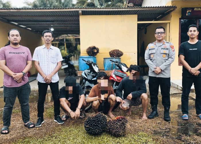 Nyabu Usai Nyuri Sawit, 3 Pria di Mendo Barat Diciduk Polisi