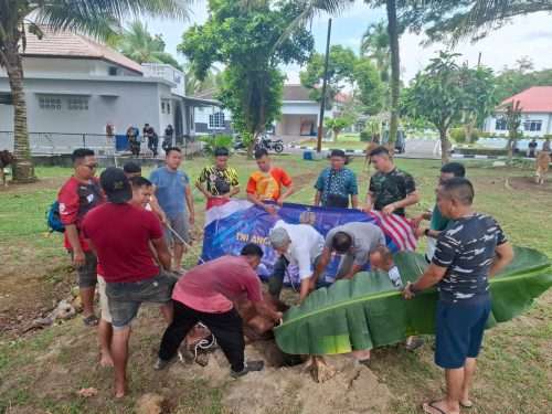 Hari Raya Idul Adha 1446 H, Lanal Babel Sembelih 11 Hewan Kurban