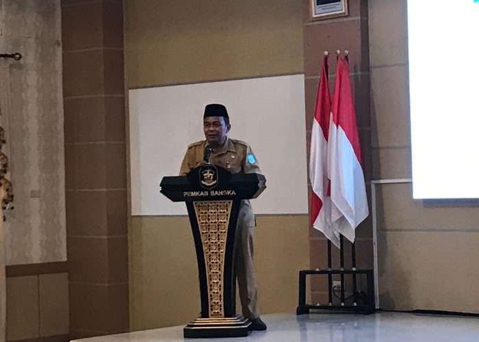 DPC PEPABRI Bangka Dilantik, Boy Yandra: Silakan Ajukan Program, Kami Siap Dukung