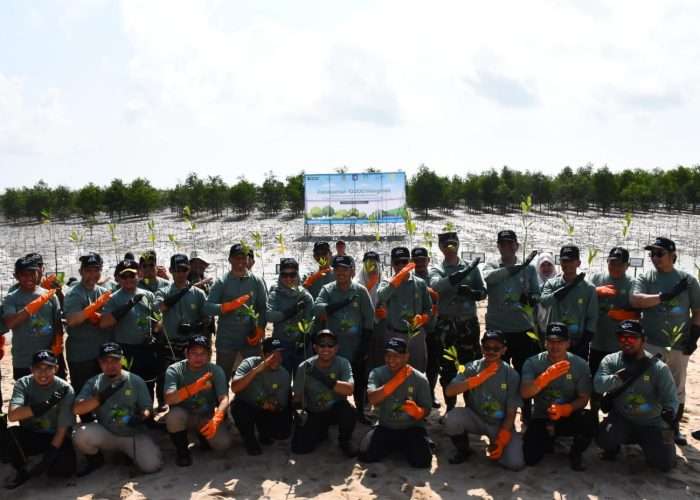 Danlanal Babel Tanam 10.000 Pohon Mangrove di Pantai Penyak