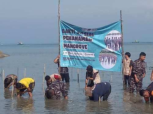 TNI AL Babel Gandeng Mahasiswa IAIN SAS & Warga Belinyu Tanam Ribuan Mangrove