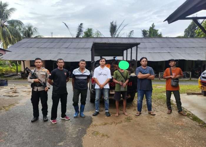 Polisi Tetapkan Tersangka Kasus Pencurian 1,1 Ton Sawit di Bangka Barat