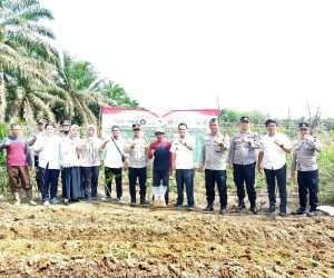 Dukung Swasembada Pangan, Polsek Pemali Tanam Jagung Serentak Bareng Warga