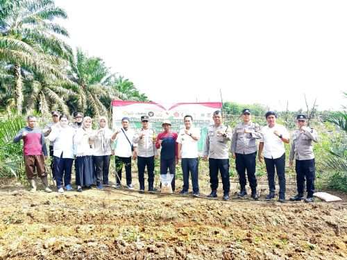 Dukung Swasembada Pangan, Polsek Pemali Tanam Jagung Serentak Bareng Warga