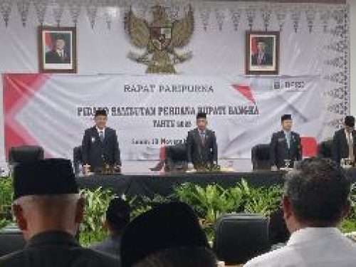 Ferry Insani Sampaikan Pidato Perdana di Paripurna DPRD