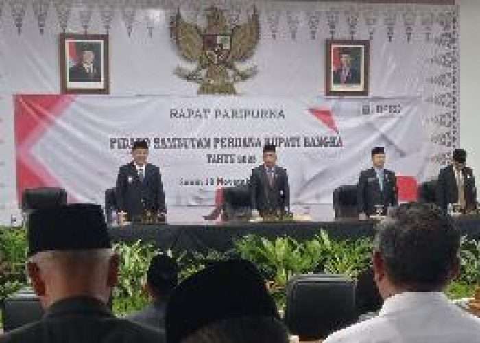 Ferry Insani Sampaikan Pidato Perdana di Paripurna DPRD