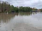 Tambang Timah Diduga Ilegal Gerogoti Mangrove Air Anyut, SMSI Bangka Minta APH Bertindak