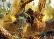 Kebun Warga Pemali Dibabat, CV TMR Dituding Abaikan Hak Masyarakat