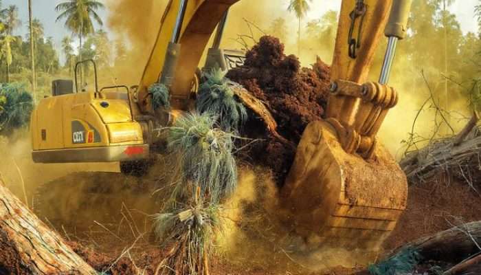 Kebun Warga Pemali Dibabat, CV TMR Dituding Abaikan Hak Masyarakat