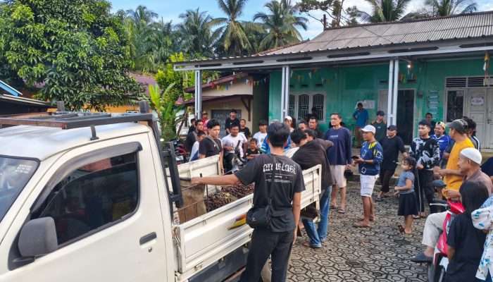 Kepergok Curi Sawit, Dua Pemuda di Tempilang Diamankan Warga