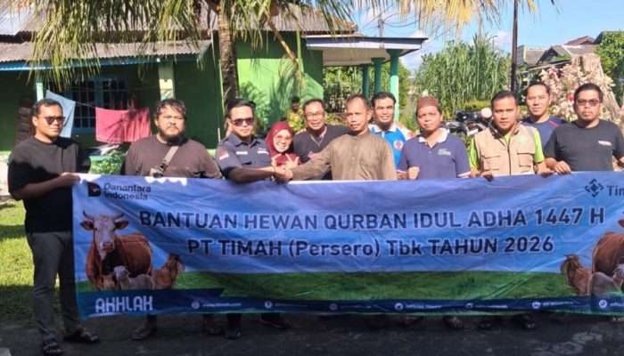 SMSI Babel Potong Sapi Kurban Bantuan PT Timah, Suherman: Alhamdulillah Penuh Keberkahan