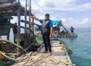 Tim Gabungan Tertibkan Tambang Ilegal di Teluk Kelabat Dalam, Empat Ponton Diamankan