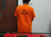 Satresnarkoba Polres Bangka Tangkap Pria di Mendo Barat, Sita Ganja 37,9 Gram