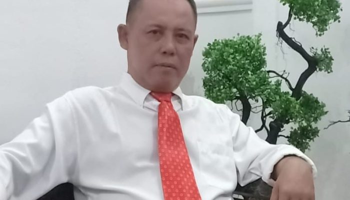 Perpres Tata Kelola Timah Bakal Jadi Solusi? Gustari: Harus Diperkuat SKB